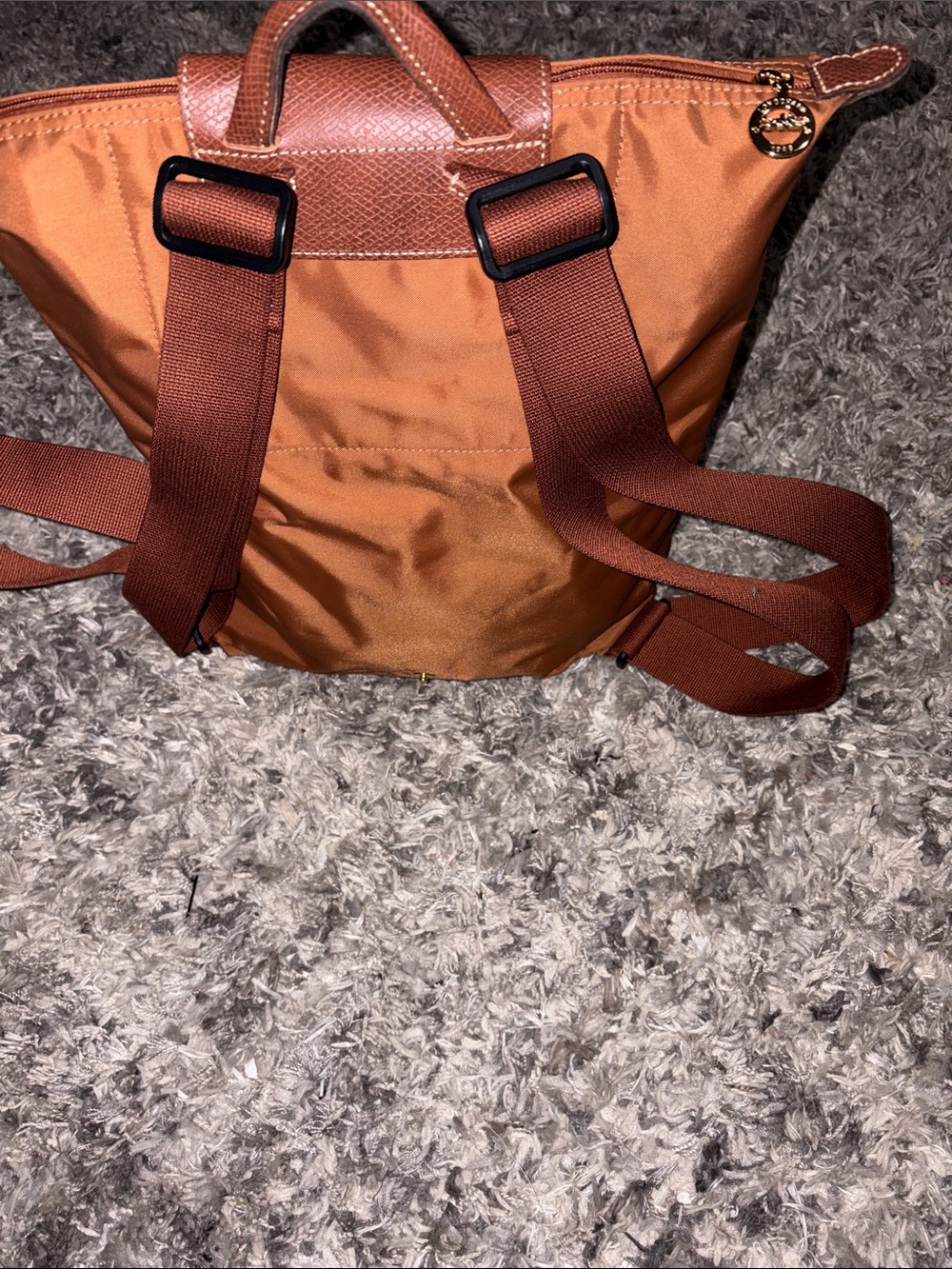 Longchamp backpack - Picture 4 of 14